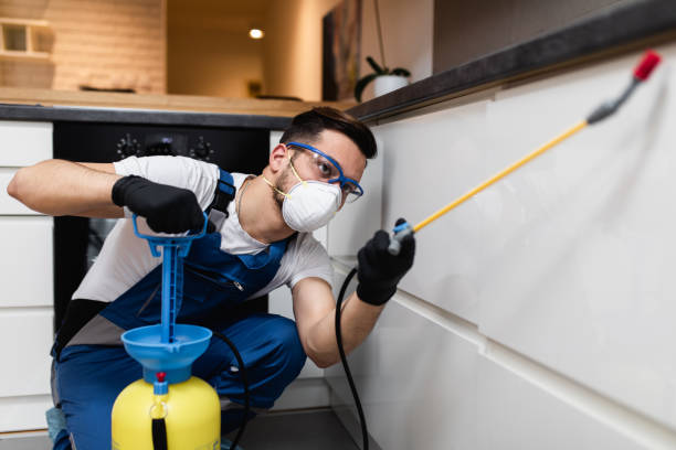 Best Affordable Pest Control Services  in Euless, TX