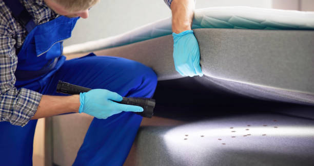 Best Pest Control Treatment  in Euless, TX