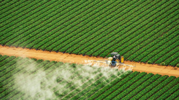 Best Pest Removal Services  in Euless, TX