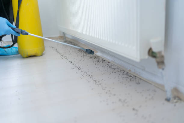 Best Affordable Pest Control Services  in Euless, TX