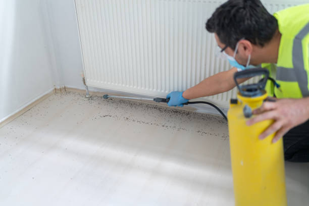 Best Termite Control Services  in Euless, TX